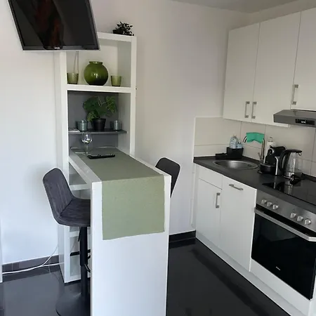 Apartment Mit Fussbodenheizung Nahe Messe, Gratis Parkplatz Und Abstellplatz E - Bike *